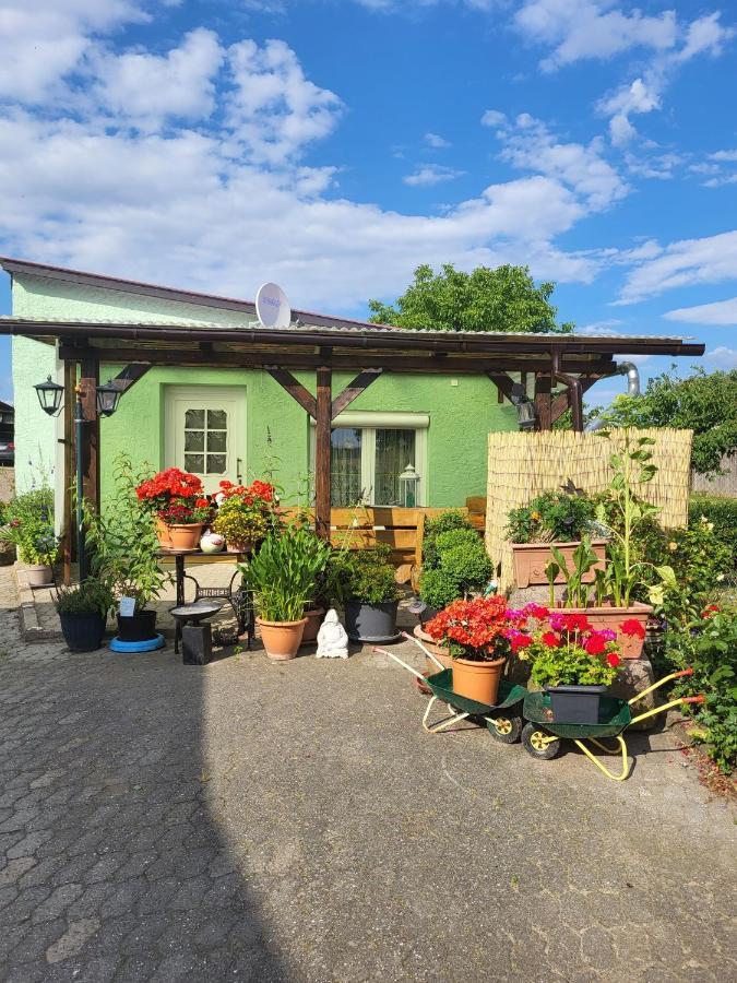 Ferienwohnung Bauerngarten Klein Vielen Buitenkant foto